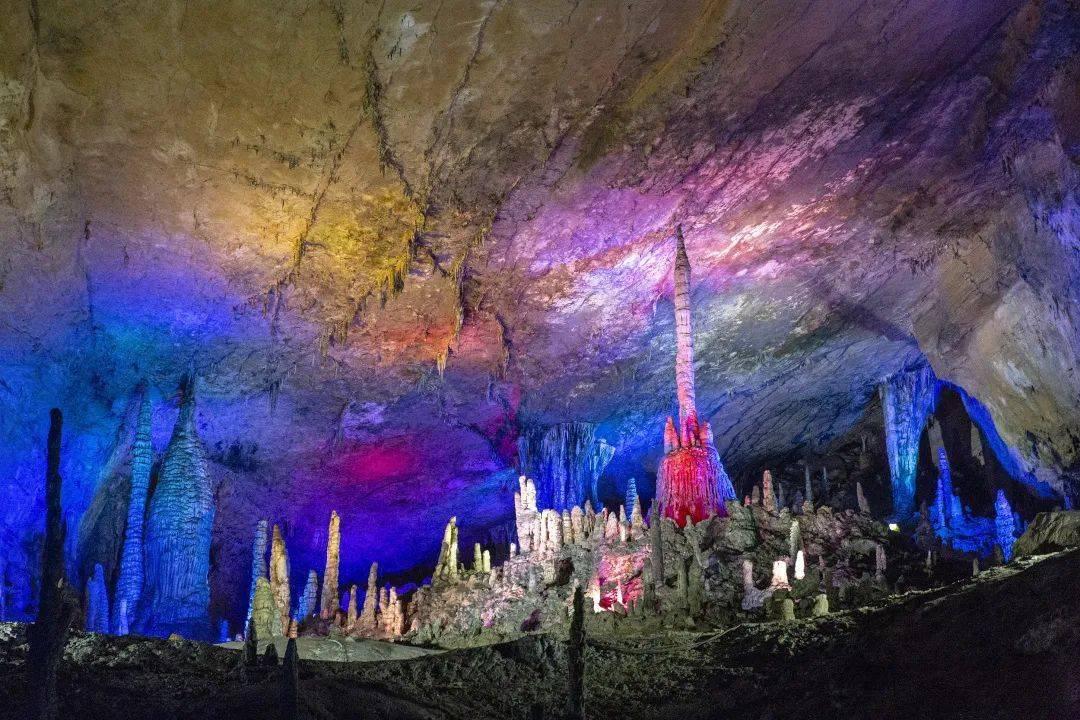 发现最酷冷知识!冷知识分享平台-高中知识在家自学可行吗?
